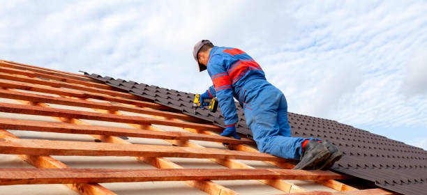 Best Roof Moss and Algae Removal  in Johnson, AR
