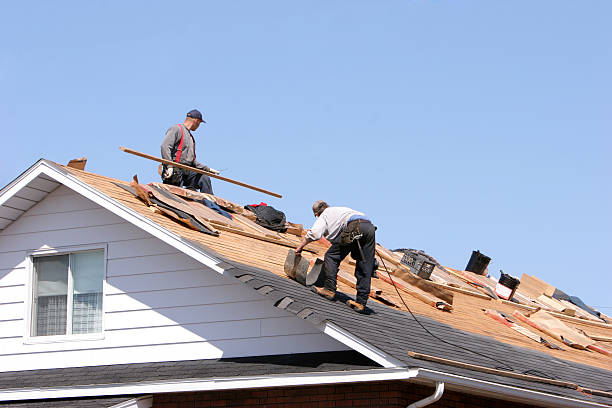 Best Gutter Installation and Repair  in Johnson, AR